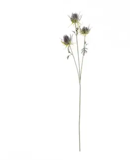 Dekoria Vetvička bodliaka 70cm, 5 x 5 x 70 cm