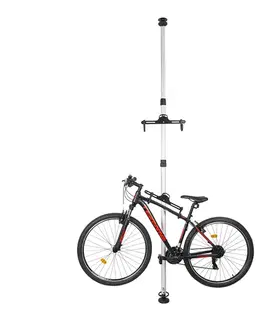 inSPORTline Bikespire II