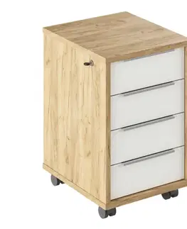 Kontajner so zámkom RIOMA TYP 30 Tempo Kondela