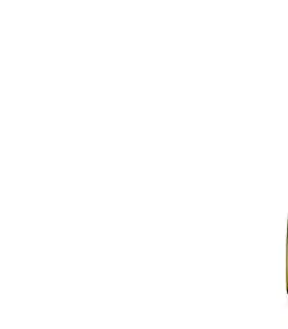 Tescoma nádoba na olej VITAMINO 500 ml, s vylúhovacím sitkom