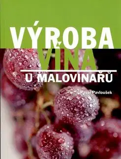 Výroba vína u malovinařů - Bohdana Pavkova