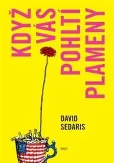 Když vás pohltí plameny - David Sedaris