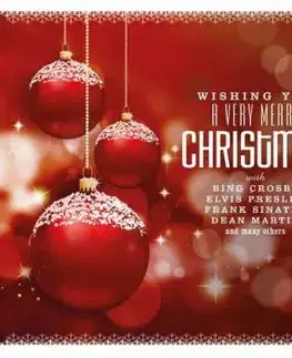 Various - Wishing You A Very Merry Christmas LP - Various Artists