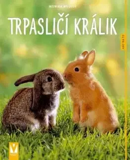 Trpasličí králik - Ako na to 2 vydanie - Monika Weglerová