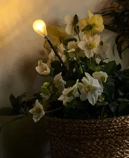 Zapichovacie svietidlá s LED, 2 ks