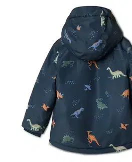 2-dielna detská zimná súprava, dinosaury