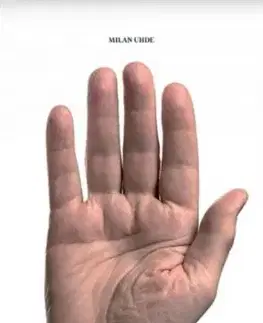 Hry - Milan Uhde