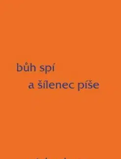 Bůh spí a šílenec píše - Václav Hons