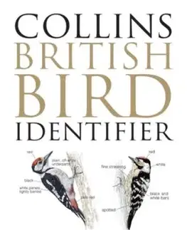Collins British Bird Identifier - Jeff Baker, Paul Stancliffe