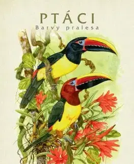 Ptáci Barvy pralesa - Jan Dungel