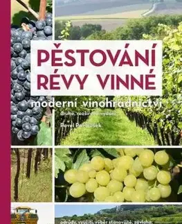 Pěstování révy vinné: Moderní vinohradnictví, 2. rozšířené vydání - Pavel Pavloušek
