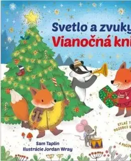 Svetlo a zvuky - Vianočná kniha - Sam Taplin