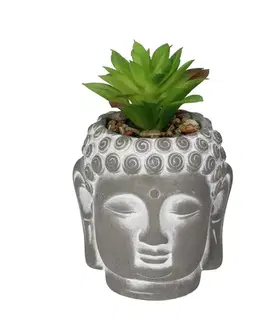 Dekoria Dekorácia Succulent III Buddha 17cm, 10 x 10 x 17 cm
