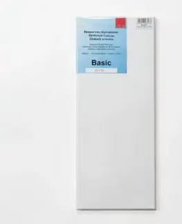 AMI plátno v ráme 20x50 cm