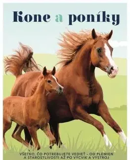 Kone a poníky