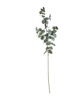 Dekoria Vetvička eukalyptu 90cm dark green, 5 x 5 x 90 cm