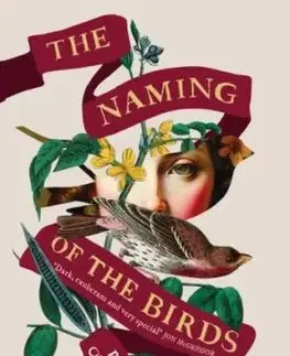 The Naming of the Birds - Paraic O'Donnell