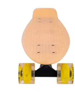 WORKER Solosy C1 22"