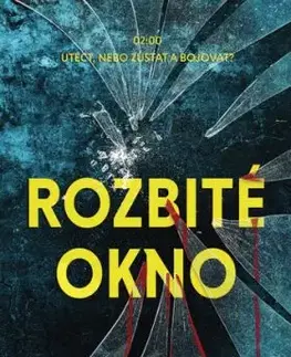 Rozbité okno - C. M. Ewan