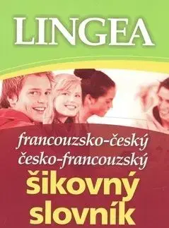 Francouzsko-český česko-francouzský šikovný slovník