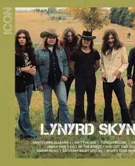 Lynyrd Skynyrd - Icon CD - Lynyrd Skynyrd