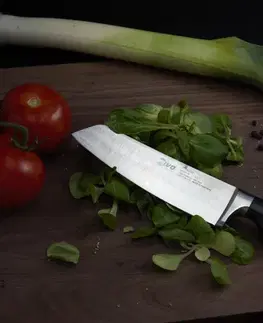 IVO Nôž na zeleninu IVO Premier 14 cm 90154.14