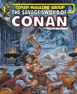 The Savage Sword Of Conan: The Original Comics Omnibus - Alfredo Alcala, Michael Fleisher, John Buscema, Christopher Priestly