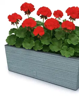 ProsperPlast Kvetináč FURU CASE | betón 58 cm
