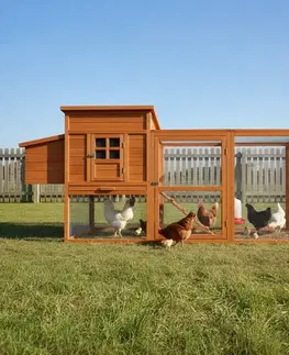 KONDELA Furol kurník pre sliepky hnedá / zelená