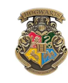 HARRY POTTER MAGNETKA ROKFORT