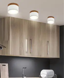 Stropné svietidlo biele/drevené LED 9W trubicové