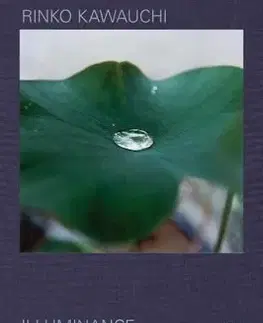 Rinko Kawauchi: Illuminance - Rinko Kawauchi, David Chandler