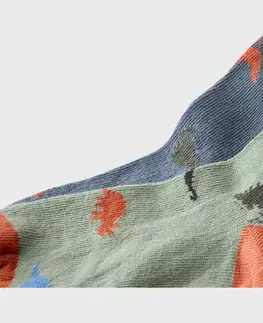 Detské ponožky, 5 párov, dinosaurus