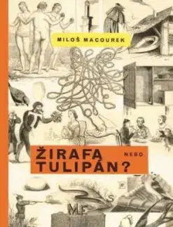 Žirafa nebo tulipán - Miloš Macourek, Adolf Hoffmeister