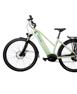 Levit Columba Bosch Perf. 625 28" Matt Mint - 20" (175-185 cm)