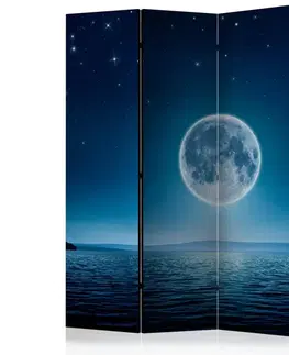 Paraván Moonlit night Dekorhome