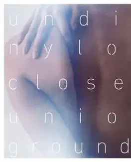 Nylon Union - Undisclosed Grounds CD - Nylon Union