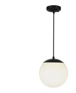  Vonkajšie závesné svietidlo na lane 1xE27/60W/230V pr. 20 cm IP44 čierne 11825