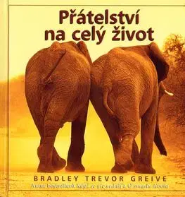 Přátelství na celý život - Bradley Trevor Greive