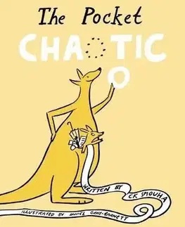 The Pocket Chaotic - Ziggy Hanaor