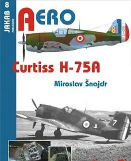 Curtiss H-75 - Miroslav Šnajdr