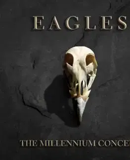 Eagles, The - The Millennium Concert 2LP - The Eagles