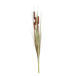 Dekoria Dekorácia Tatarak 65cm light brown, 2 x 2 x 65 cm