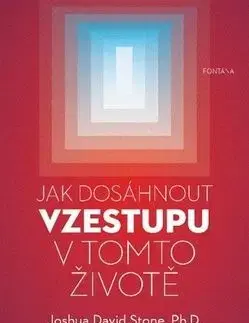 Jak dosáhnout vzestupu v tomto životě - Joshua David Stone