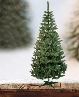 Vianočný stromček smrek natural 250cm