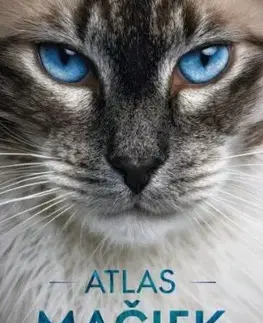 Atlas mačiek
