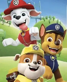 Detská osuška PAW PATROL team 70X140cm Setino Tiahome