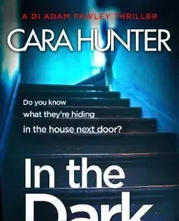 In The Dark - Cara Hunter