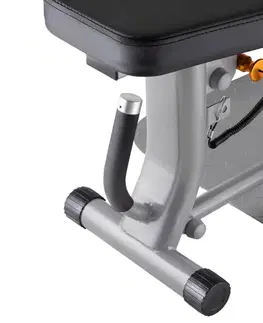 inSPORTline Profigym C200