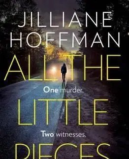 All the Little Pieces - Jilliane Hoffman